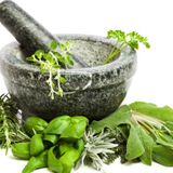 Las hierbas aromáticas en la gastronomía