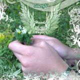 Hands of an Angel