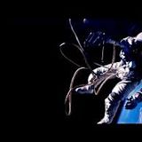P Dee - presents - Distinctive Music For Distinctive Minds - Atmospheric DnB - EFM Radio 27-12-14