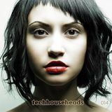 TecHHouseHeads