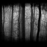Break into Minimal Light