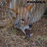 Phauna Podcast 05 I JPhilipps b2b Chester Cave