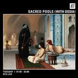 Sacred Pools w/ DJ October & Ossia - 7th March 2016