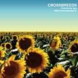 CROSSBREED9