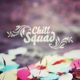 Stefan Schleich - Chill Squad