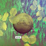 PIR▲.MD Records Weekly Mix #010: Turning Torso