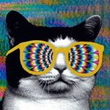 Techno Cats - That Techno Tho