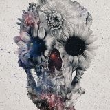#16th Pill - Winter is Coming