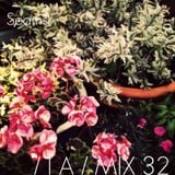 IA MIX 32 Seams