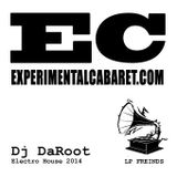 DaRoot - Electro House 2014