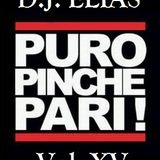 DJ Elias - Puro Pinche Pari Vol. XV