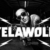 Yelawolf - Live@ Splash Festival 2011 (live cut by mokilog)