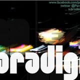 Paradigm 015