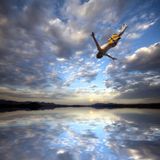 freefall