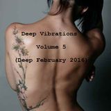 Deep Vibrations Vol.5(Deep February 2016)