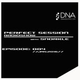 Perfect Session with Snorkle on DNA Radio Fm | episode: 004 | jan.2016