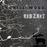 Eiszeit (Continuous DJ Mix)