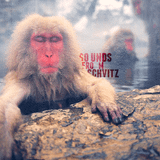 Jesse Futerman - Sounds from Schvitz