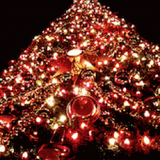 Very Merry X'max 2008!! ~Old 2 New Happy X'mas Song~