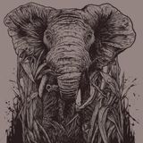 Jungle_Safari - Dub It Up! vol.12