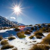 Winter Psybient