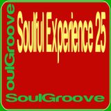SoulGroove - Soulful Experience 25