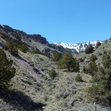 Sagebrush & Juniper - Invigorate Your Senses