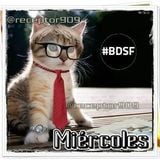 BDSF (23-01-13) Último Miércoles de Noticias y Sección de Tecnología