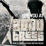 YouHaveBeenListening 2000 Trees Festival Special