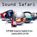 Sound Safari 002 - Guest Saint Evo