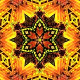 Witness To The Nagual - The World Of GOA Trance