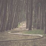 Wrap Your Troubles In Dreams (Mix-CD for The Meet Market)