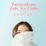 J.A.G.U.A.R. / やわらかな雪のDISKO