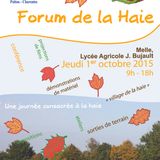 D4B en immersion #1 au Forum de la Haie