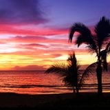Summer Sunset Mix