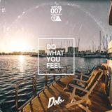 Acrylick x Dolo - Do What You Feel 007