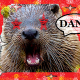 Dangalang* OrangaDang