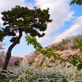 Hataken - "SPRING HEXAGON" disc 5 to 6 "DUB part2"