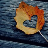 Pavel Petrov - Autumn 2013 podcast