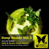 Deep Headz Vol.3
