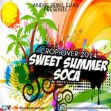 Andre Rebel Elias Presents Sweet Summer Soca 2014
