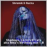 Shromik & Rucka - Shadows, Lazers & Cats aka Ama's birthday mix 1.0