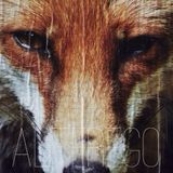 Alterego 7.9.14 'Fantastic Mr. Fox'