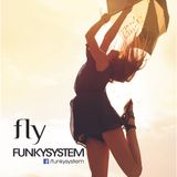 Fly