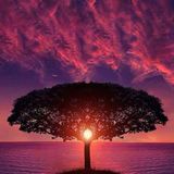 Indentor deep in the heart of nature.