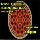 PSY TRANCE EXPERIENCE PODCAST 5