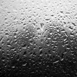 Rainy Daze