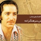 دل خاموش 1