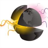 DESPUES DELFÍN DEL MUNDO!!! programa Nº11