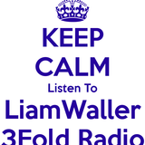 3Fold Radio 20130225 Liam Waller